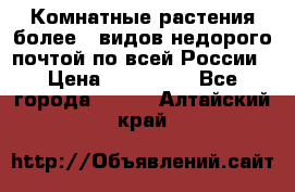 Комнатные растения более200видов недорого почтой по всей России › Цена ­ 100-500 - Все города  »    . Алтайский край